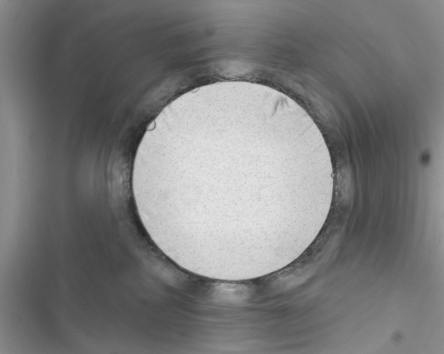 X0000116630234201001221407