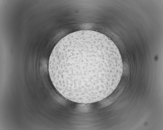 X0000116630238201001221407