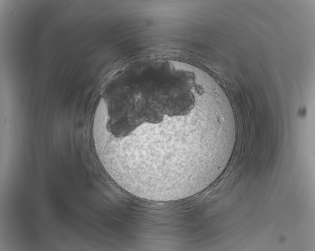 X0000116630240201001221407