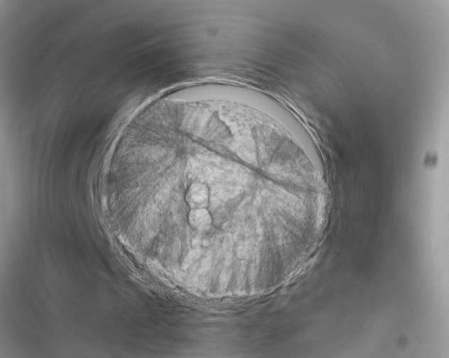 X0000116630241201001221406
