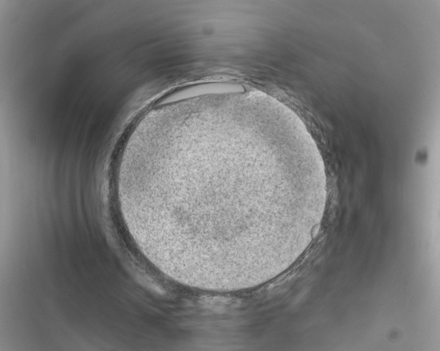 X0000116630242201001221406