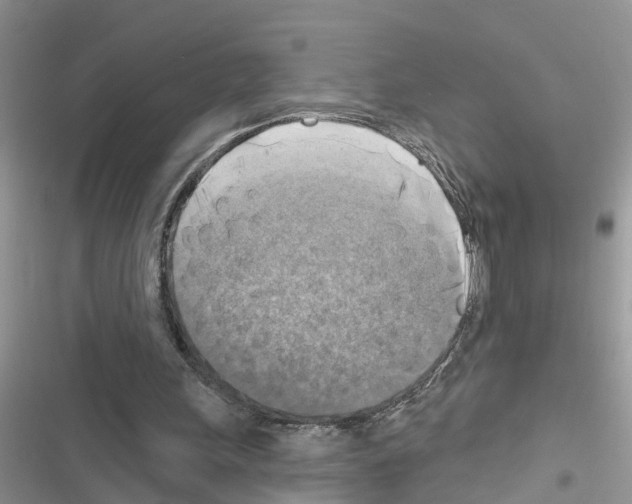 X0000116630243201001221406