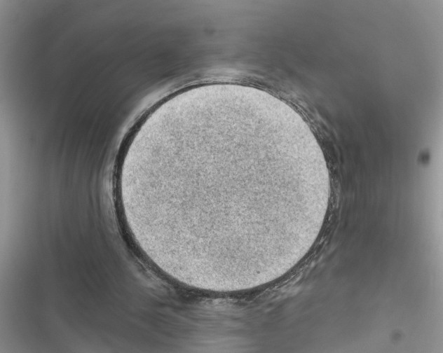 X0000116630244201001221406