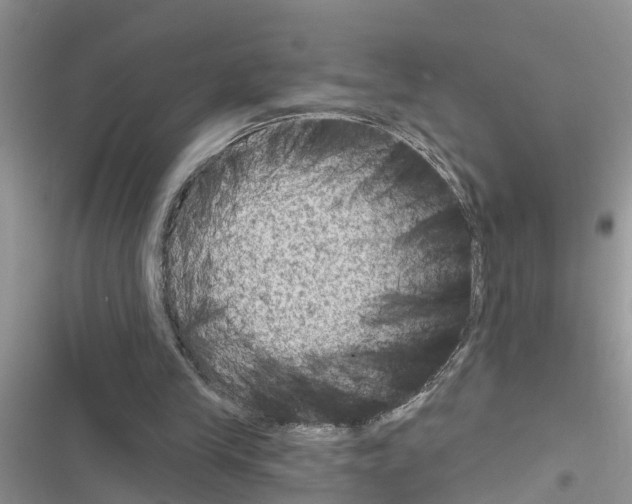 X0000116630245201001221406