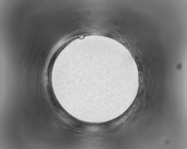X0000116630246201001221406