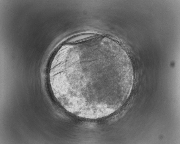 X0000116630247201001221406