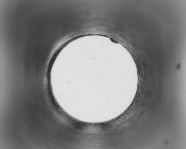 X0000116630248201001221406