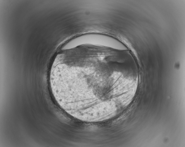 X0000116630249201001221406