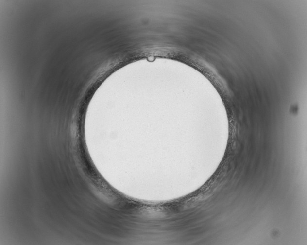 X0000116630250201001221406