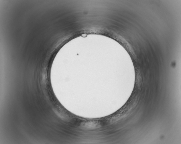 X0000116630251201001221407
