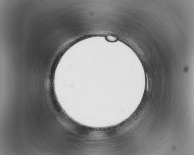 X0000116630252201001221407