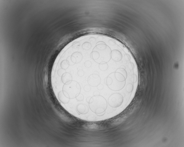 X0000116630253201001221407