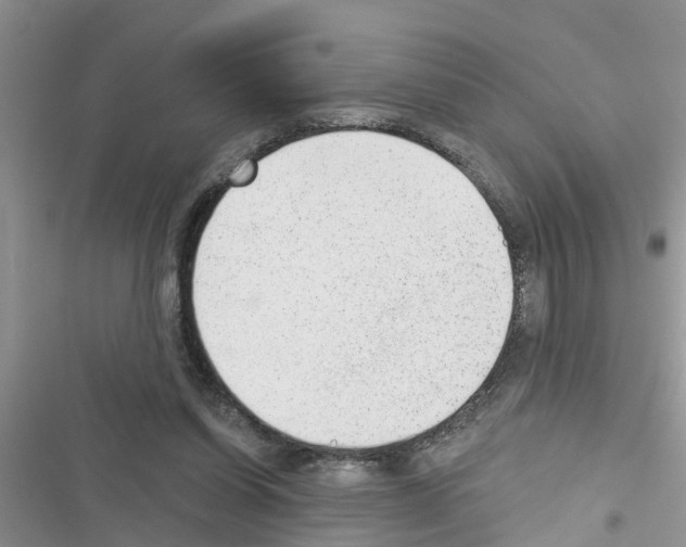 X0000116630254201001221407