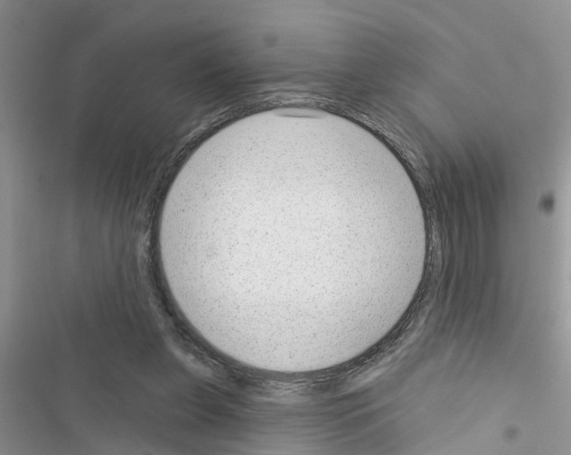X0000116630255201001221407