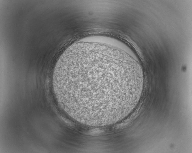 X0000116630257201001221407