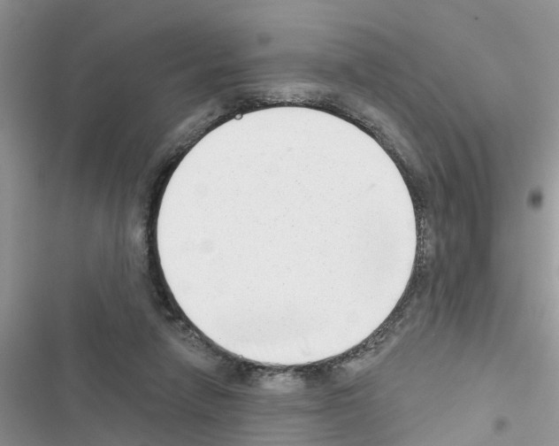 X0000116630258201001221407