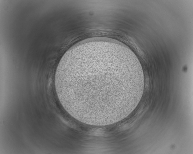 X0000116630259201001221407