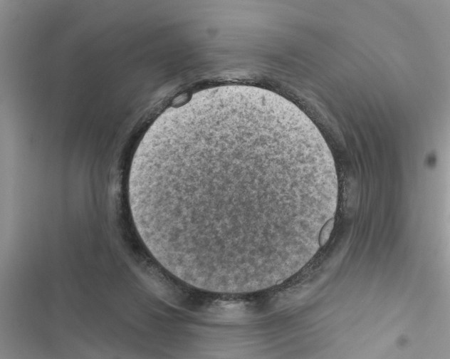 X0000116630260201001221407