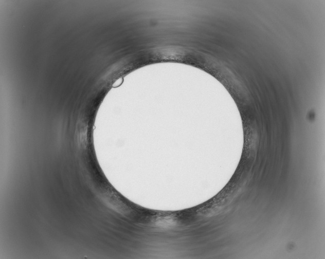 X0000116630262201001221407
