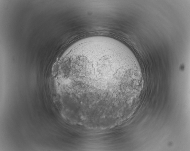 X0000116630263201001221407