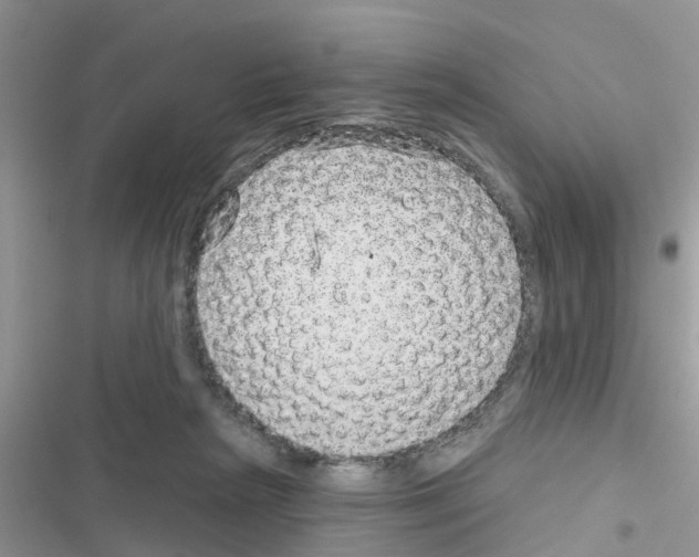 X0000116630265201001221407