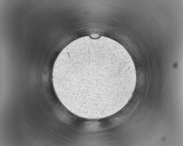 X0000116630266201001221407
