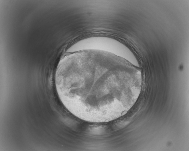 X0000116630267201001221407
