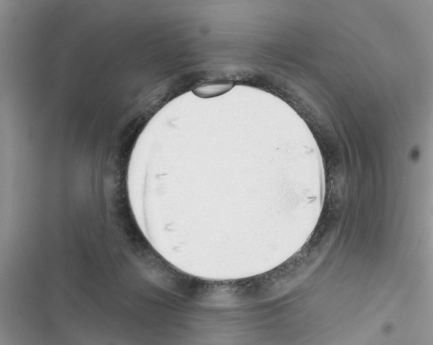 X0000116630268201001221407