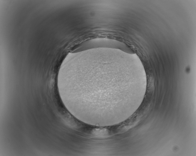 X0000116630271201001221407