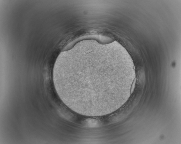 X0000116630272201001221407
