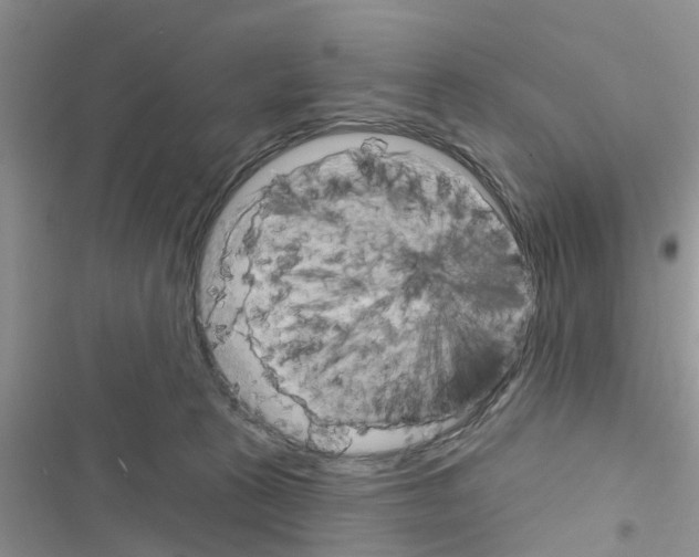 X0000116630273201001221407