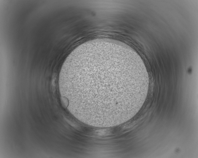 X0000116630275201001221407