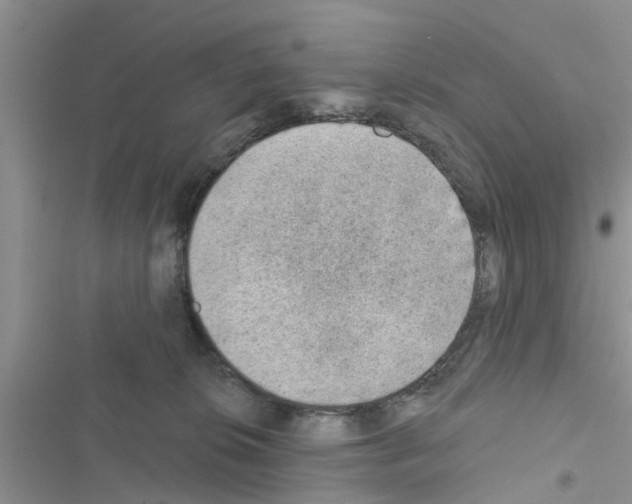 X0000116630276201001221407