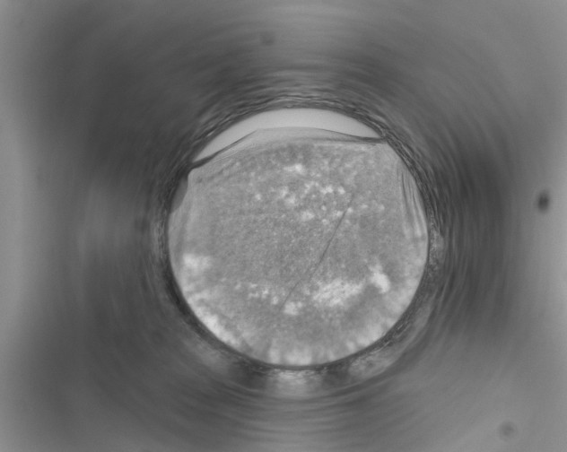 X0000116630277201001221407