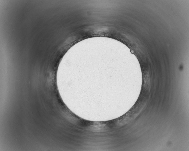 X0000116630278201001221407
