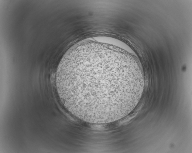X0000116630281201001221407