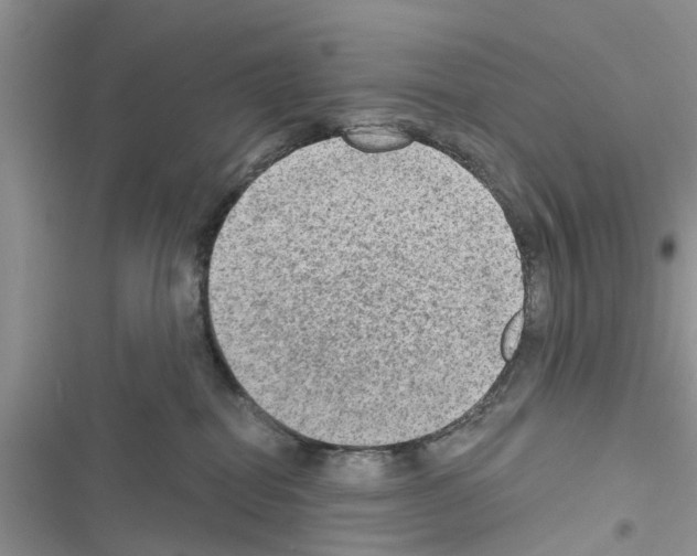 X0000116630282201001221407