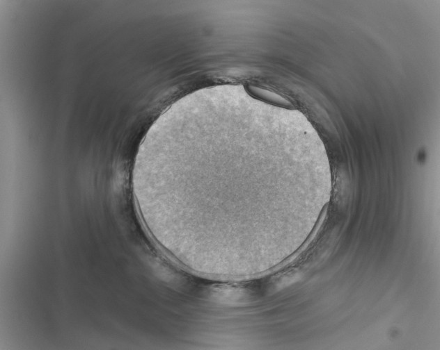 X0000116630284201001221407