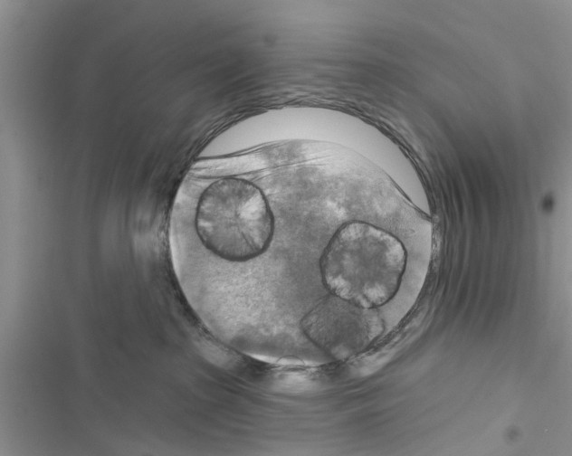 X0000116630285201001221407