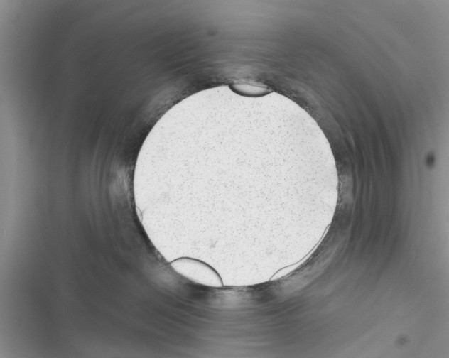 X0000116630286201001221407