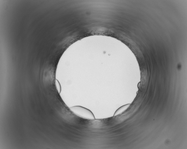 X0000116630287201001221407