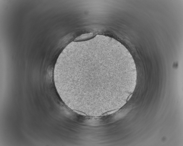 X0000116630288201001221407