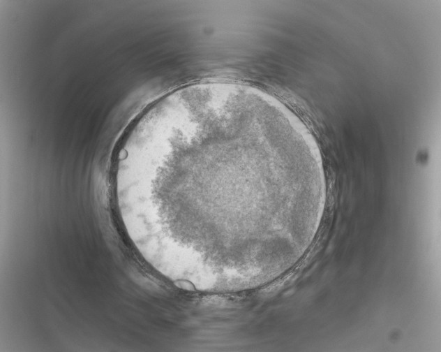 X0000116630290201001221406