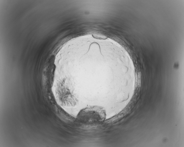 X0000116630291201001221406