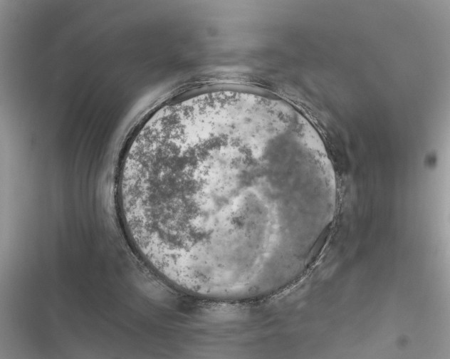 X0000116630293201001221406