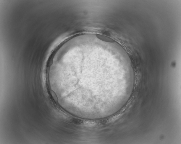 X0000116630294201001221406