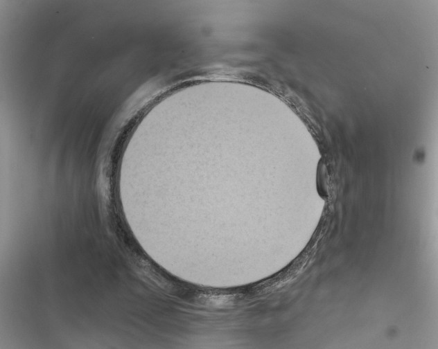 X0000116630295201001221406