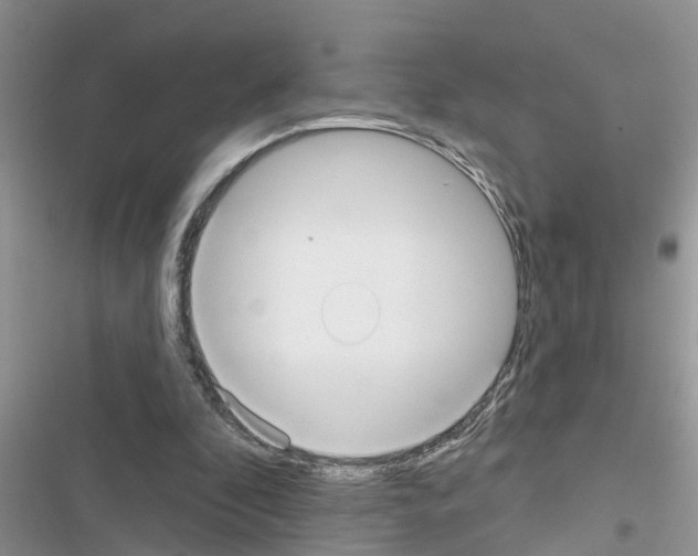 X0000116630296201001221406