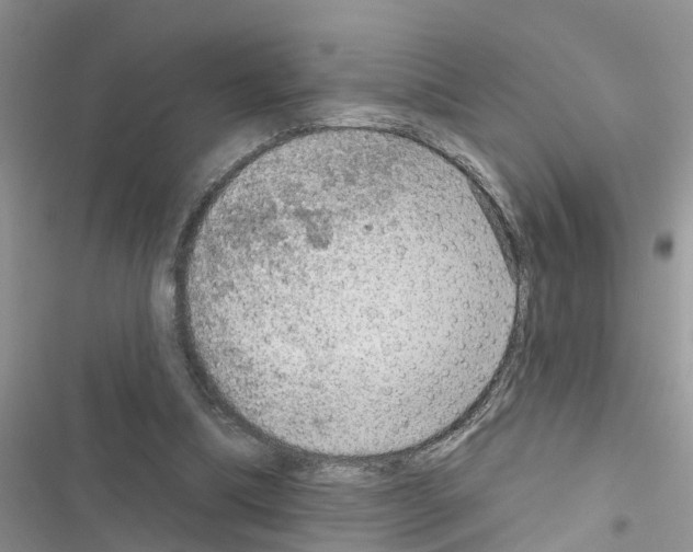 X0000116630298201001221406