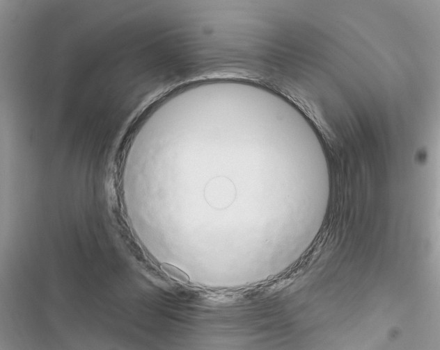 X0000116630300201001221406